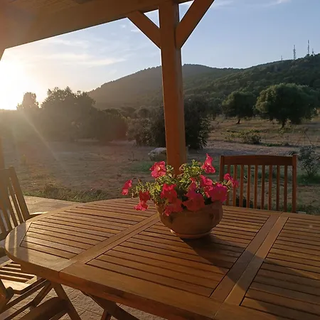 Bombarde Natural House דירה