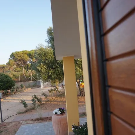 Bombarde Natural House *