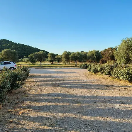 דירה Bombarde Natural House אלגהרו