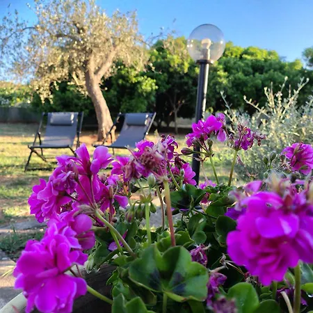 דירה Bombarde Natural House