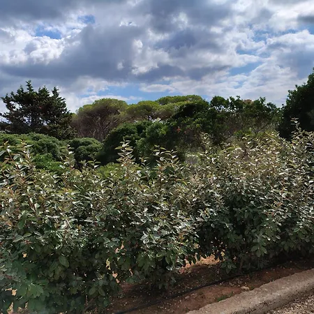 Bombarde Natural House אלגהרו