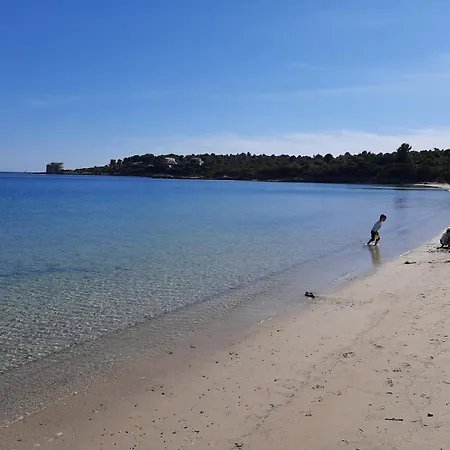 Bombarde Natural House *