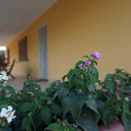 Apartmán Bombarde Natural House