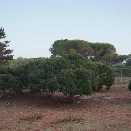 Apartmán Bombarde Natural House