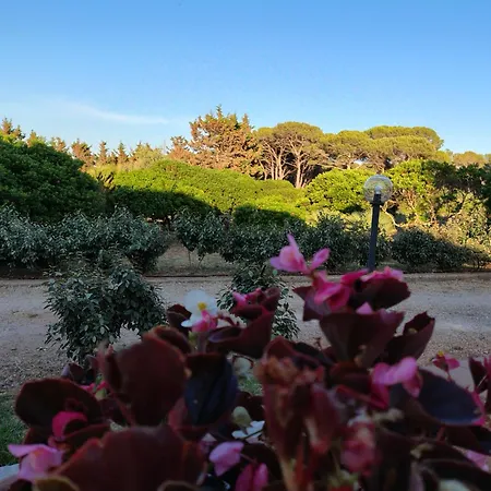 Apartmán Bombarde Natural House