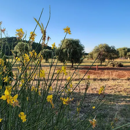 Bombarde Natural House Alghero