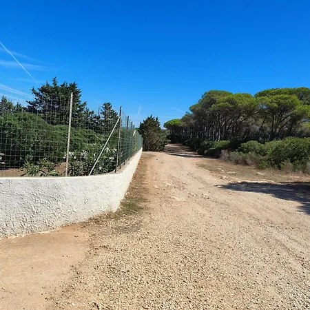 Bombarde Natural House *