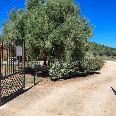 Bombarde Natural House